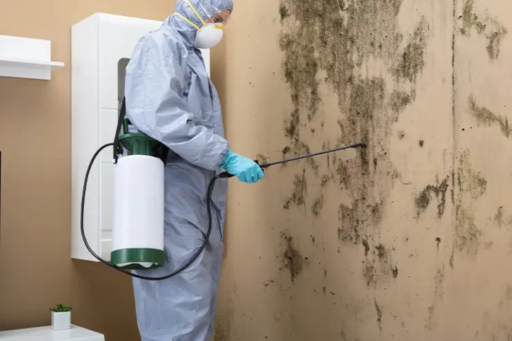Mould Cleaning